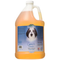 Biogroom Groom 'N Fresh Conditioning Shampoo Gallon
