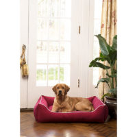 Dog Gone Smart Lounger dog Bed