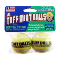 Petsport Jr. Tuff Mint Balls 2 pack Dog Toy