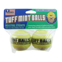 Petsport Tuff Mint Balls 2 pack Dog Toy