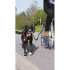 Trixie Biker-Set for Safe Leashing on Bike for Large Dogs