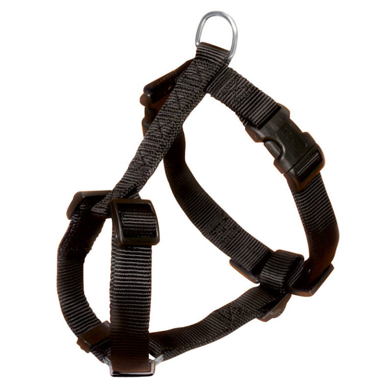 Buy Trixie Classic HHarness for Dogs Online at Low Price in India
