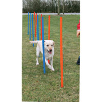 Trixie Dog Agility Slalom (Weave Poles)