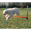 Trixie Dog Agility hurdle, 4ftx3.8ft×1.2inch, blue & orange