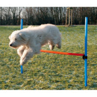 Trixie Dog Agility hurdle, 4ftx3.8ft×1.2inch, blue & orange