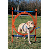 Trixie Dog Agility training ring, orange & blue