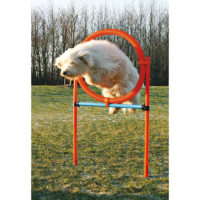 Trixie Dog Agility training ring, orange & blue