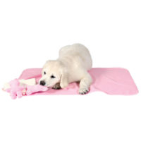 Trixie Puppy Kit with blanket