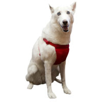 Sporn Comfort dog Harness Medium red