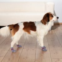 Trixie Dog Socks non-slip
