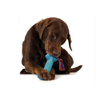 Petstages ORKA Bone Dog Chew Toy collection