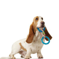 Petstages ORKA Triple Dental Links Dog Toy collection