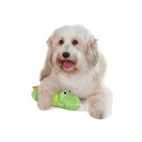 Petstages Stuffing Free Big Squeak Gator Dog Toy collection