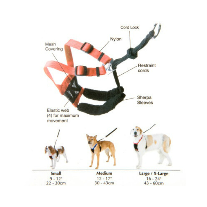 sporn non pull dog harness