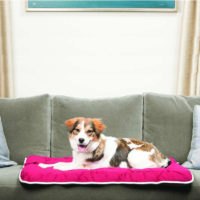 Dog Gone Smart Sleeper Dog Cushions