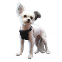YUP Sporn Comfort Dog Harness Extra Small black
