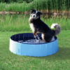 Trixie Dog Pool, Blue