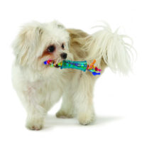 Petstages Orka Mini Chew Dog Toy 1