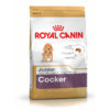 Royal Canin Cocker Junior Dry Dog Food