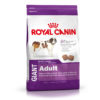 Royal Canin Giant Adult Dry Dog Food