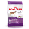 Royal Canin Giant Junior Dry Dog Food