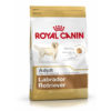 Royal Canin Labrador Adult Dry Dog Food