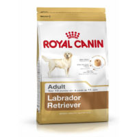 Royal Canin Labrador Adult Dry Dog Food