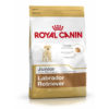 Royal Canin Labrador Junior Dry Dog Food