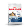 Royal Canin Maxi Starter Mother & Babydog Dry Dog Food