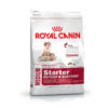 Royal Canin Medium Starter Mother & Babydog Dry Dog Food