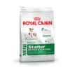 Royal Canin Mini Starter Mother & Babydog Dry Dog Food