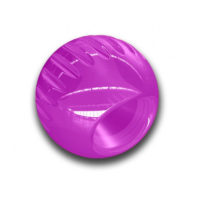 Bionic Ball Purple