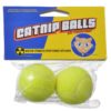 Petsports Catnip Balls Cat Toy
