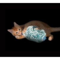 Petstages Nighttime Cuddle Cat Toy-1