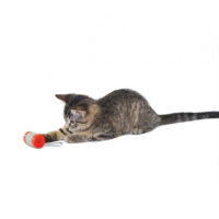 Petstages OrkaKat Catnip Spool Cat Toy-1