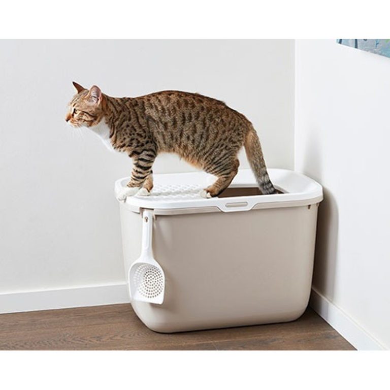 Buy Savic Hop In Modern Cat Litter Box Online at Low Price in India