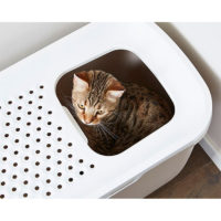 Savic Hop In Modern Cat Litter Box