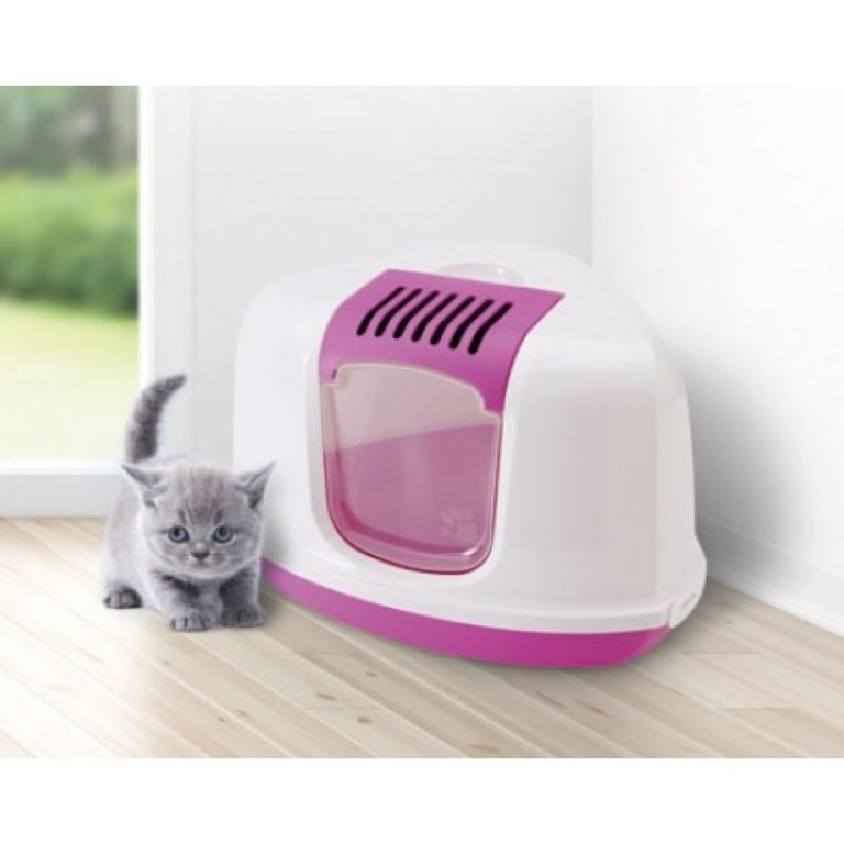 Buy Savic Nestor Corner Cat Litter Box Online at Low Price in India