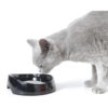 Savic Whisker Cat Water Bowl