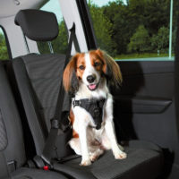 Trixie Dog Protect Car Harness