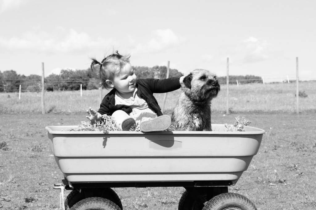 Puprise Post - Best Pets Blog India