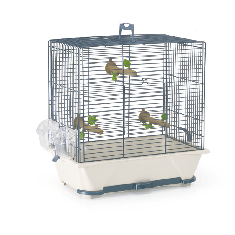 bird cage online