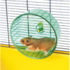 Savic Rolly Exercise Play Wheel for Small Animals