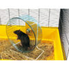 Savic Rolly Giant Wheel with Stand for Small Animals