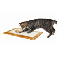 Trixie Scratching Mat with Toy for Cats 2