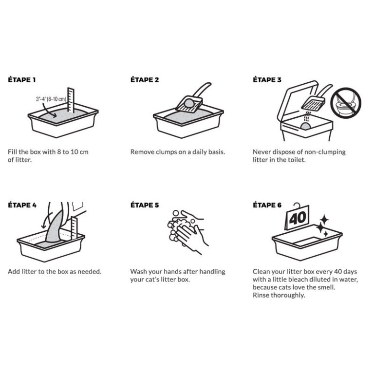 Buy Intersand OdourLock Unscented Clumping Cat Litter Online at Low