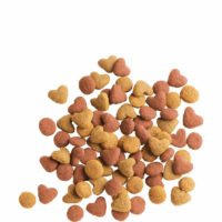 Lara Junior With Chicken Dry Cat Food