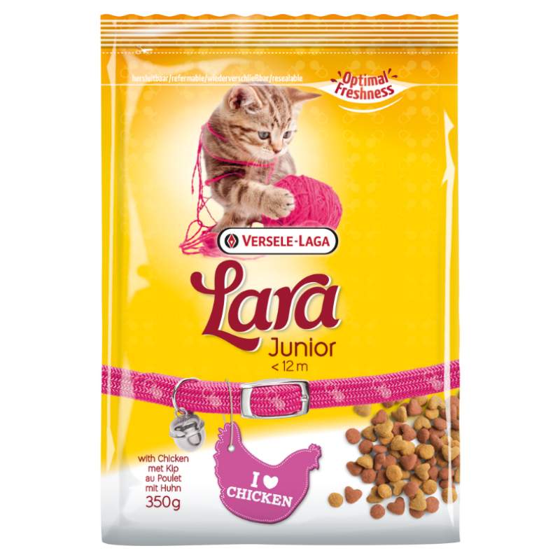 cheap cat food online