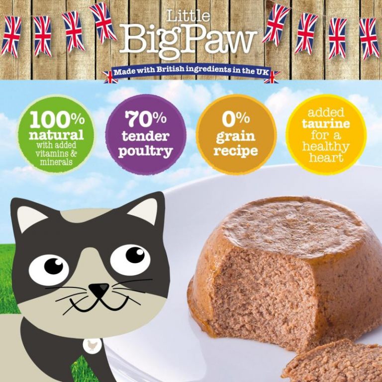 Buy Little Big Paw Gourmet Tender Turkey Mousse For Cats, 85gm Pack