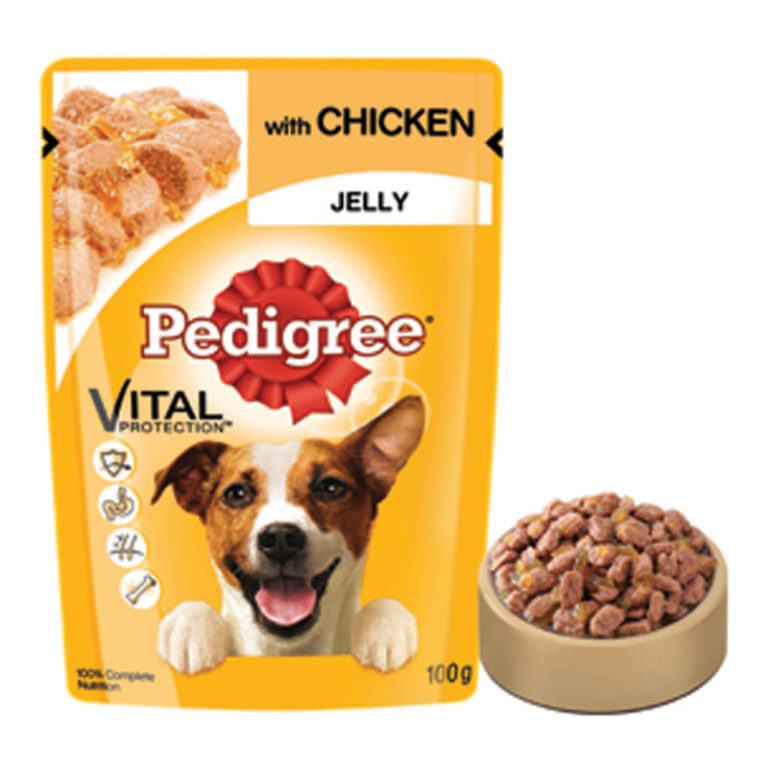 Buy Wet Dog Food Online in India at Best Prices Shop Pet Supplies